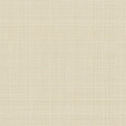 papel de parede Evolution 2 15801