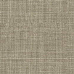 papel de parede Evolution 2 15802