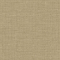 papel de parede Evolution 2 15860