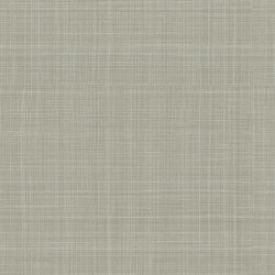 papel de parede Evolution 2 20802