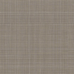 papel de parede Evolution 2 20805