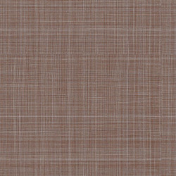 papel de parede Evolution 2 20806