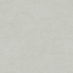 papel de parede Evolution 2 20868