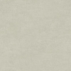 papel de parede Evolution 2 20869