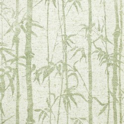 Papel de parede, folhagem, bamboo, verde