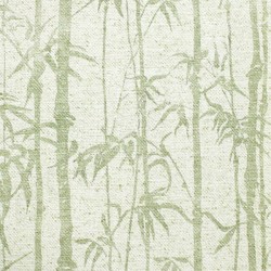 Papel de parede, folhagem, bamboo, verde