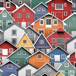 Papel de Parede Picasso l307-10